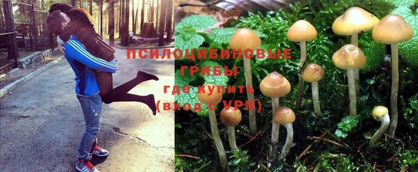 каннабис Алексеевка