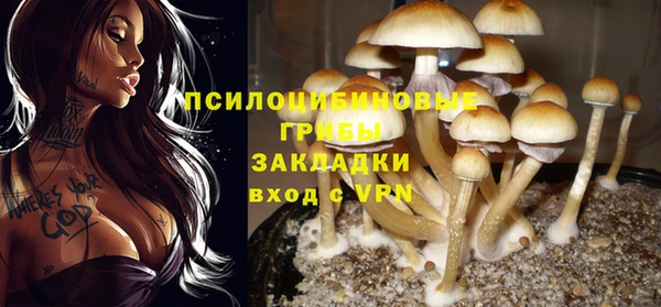 экстази Алексин