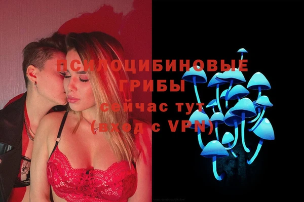 не бодяженный Алзамай