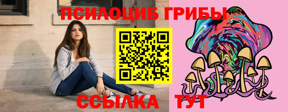 Галлюциногенные грибы Psilocybe Балабаново