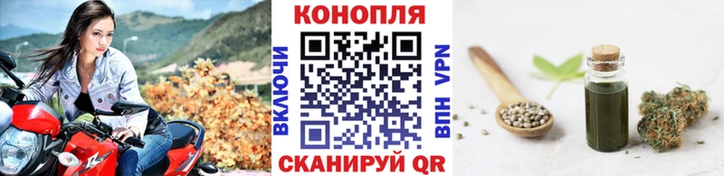 магазин продажи наркотиков  Балабаново  сайты даркнета формула  Марихуана сатива 